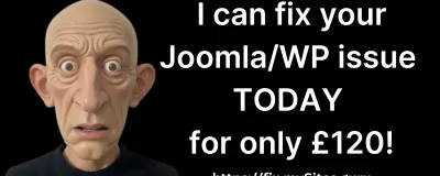 Get Expert Help for Your Sites Instantly