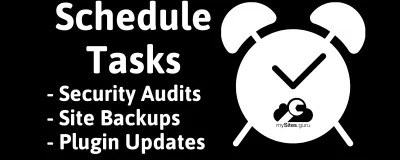 Schedule Audits, Updates & Backups