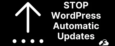 How to Stop Automatic Updates in WordPress with One Click