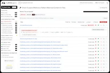 mySites.guru suspect content detection showing file-level analysis