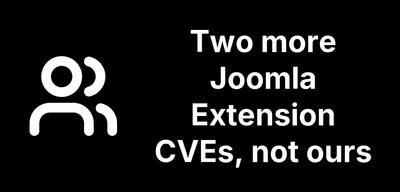 We Are Not the Only Ones Auditing Joomla Extensions