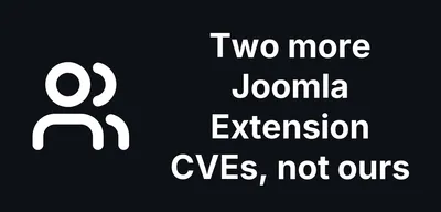 We Are Not the Only Ones Auditing Joomla Extensions