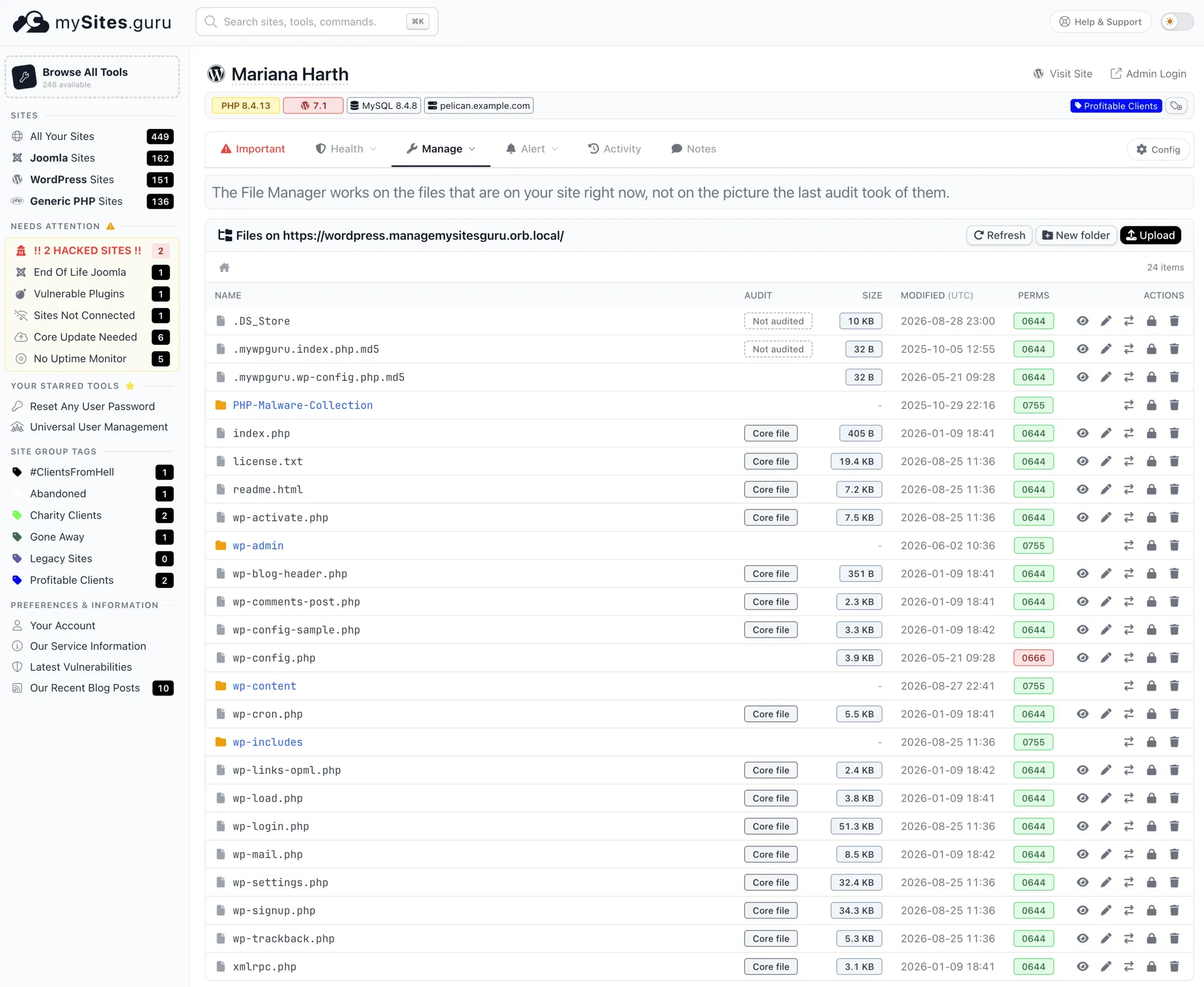 The mySites.guru File Manager showing a WordPress site's file listing, with an Audit column marking core files and a red-flagged 0666 permission on wp-config.php
