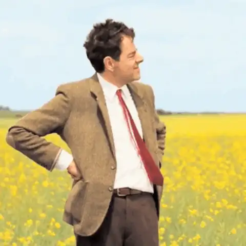 The animated Mr Bean waiting: Rowan Atkinson as Mr Bean stands in a field of yellow flowers, looks around, checks his wristwatch and shields his eyes to look into the distance